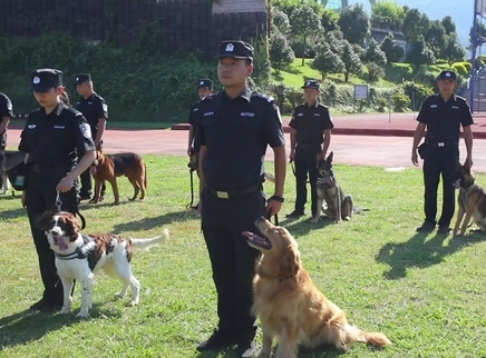 小吴探营·神犬奇兵