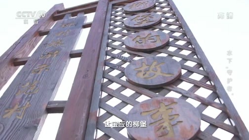 地理中国 《地理·中国》 20200115 水下“守护者”