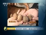 生财有道 《生财有道》 20171107 咱们家乡有特产（秋收系列）——喀什古城：古老特产焕发新商机