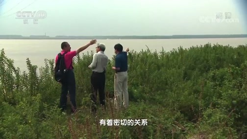 地理中国 《地理中国》 20190731 古城奥秘·蒲圻风雨