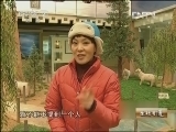 生财有道 [生财有道]滩羊带来的财富传奇(20130308)