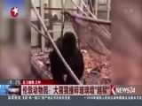 东方新闻 《东方新闻》 20161014