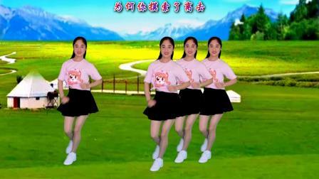 动感时尚广场舞 经典情歌广场舞《听心》32步动感优美，附教学