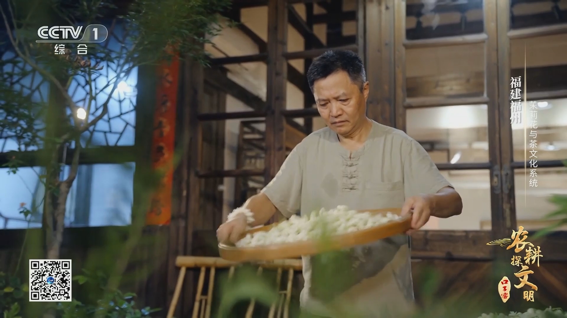 农耕探文明 《农耕探文明》 第3集 福建福州 茉莉花与茶文化系统