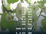 环球经济连线 《环球财经连线》 20170422