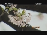 消费主张 《消费主张》 20150406 春韵夏风——茶乡有二“青” 清明正当时
