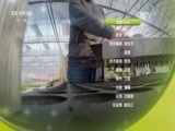 我爱发明 《我爱发明》 20170208 皮蛋滚滚来