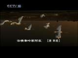 大秦岭