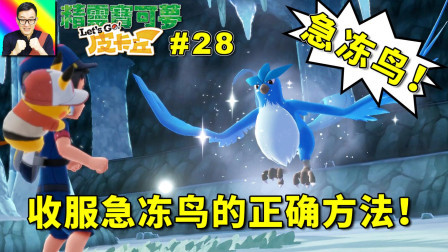 收服急冻鸟的正确方法! 最佳皮卡丘和最差妙蛙花!