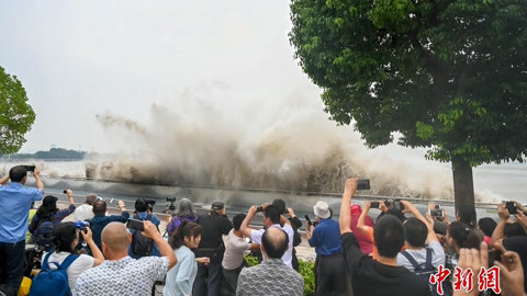 长江新闻号 长江新闻号