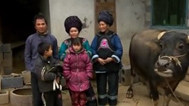 变形计第十一季 富二代办公室暴打老师