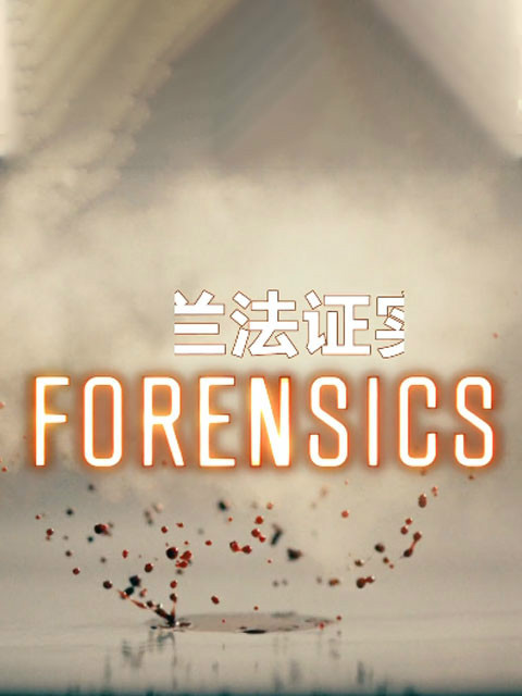 新西兰法证实录 第一季 海报