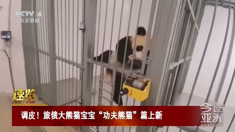 今日亚洲 《今日亚洲》 20240530