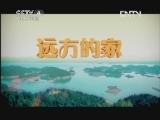《沿海行》第103集 广东省阳春市《远方的家》 20120426