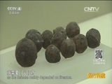 远方的家 《远方的家》长城内外 第35集 妫川沃野 20151116