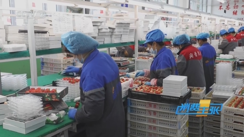 《消费主张》 20251209 冬季水果消费调查：红颜草莓抢先上市