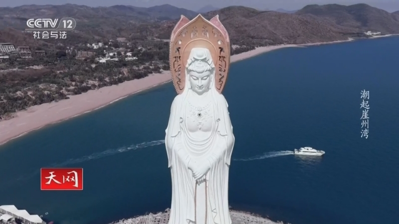 《天网》 20260306 潮起崖州湾