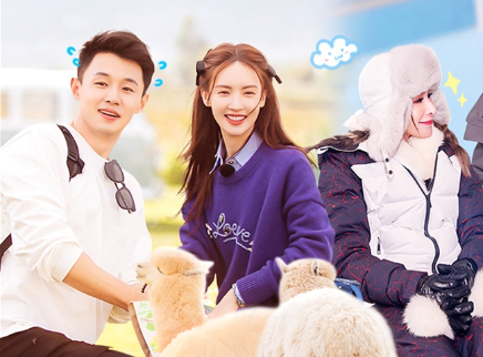 第8期：金晨陈一鸣恋爱观冲突