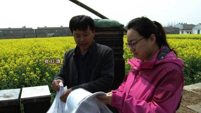 致富经 [致富经]稀罕的蜂蜜 说赚就赚 20190607