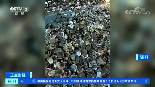 中国财经报道 《正点财经》 20191114 14:00