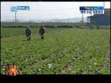 今日亚洲 今日亚洲 2010-10-07