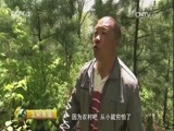 生财有道 《生财有道》 20170703 吉林通化县：绿水青山间的“生态银行”