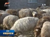 新疆新闻联播 《新疆新闻联播》  20180115