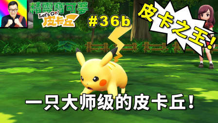 Puppy被打最惨！大师皮卡丘!