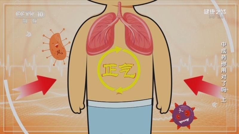 健康之路 《健康之路》 20220903 中成药你用对了吗（上）