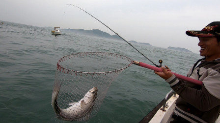 岛民阿杰玩海钓 阿杰决定今天挑战鲈鱼，巨鲈连连上钩，一条鱼600多，今天又爆了