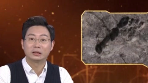 经典传奇 老汉采药发现人形大脚印 科学家考察真相扑朔迷离