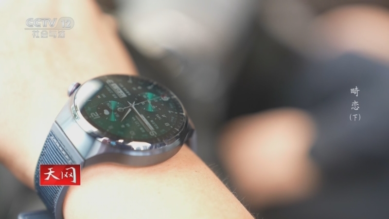 《天网》 20260402 畸恋(下)