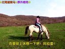 小梦帮倒忙Z 北海道骑马散步 一人野外烤肉