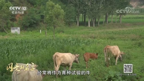 道德观察 《道德观察(日播版)》 20191006 闪亮的名字