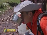 生财有道 《生财有道》 20160808 生态草原处处财