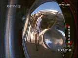 动物世界 动物世界 2009年 第215期
