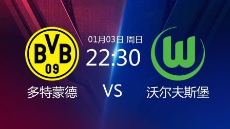 2020-2021德甲联赛第14轮 多特蒙德VS沃尔夫斯堡