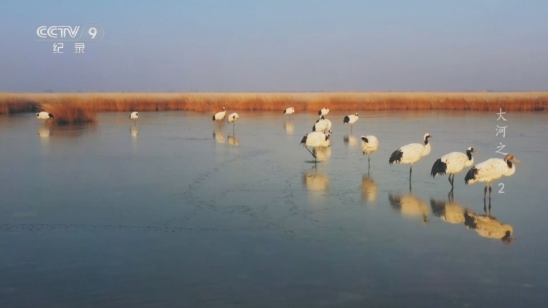 《大河之洲》 第2集 家园