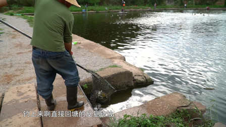 第9期：刘志强对黑坑猾鱼