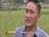 中国财经报道 《中国财经报道》 20151107 玩转邮局