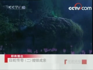百家讲坛 百家讲坛 2008年 第169期 白蛇传奇《赠银成亲》