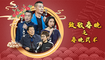 《中国文艺》 20210410 向经典致敬 本期致敬——中央电视台 春节联欢晚会