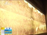 新闻午报-山西 《新闻午报-山西》 20170507