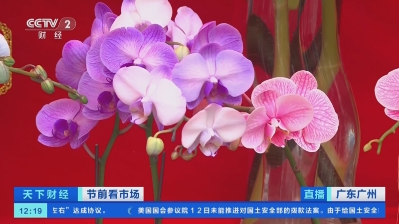 《天下财经》 20260213