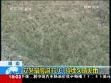 共同关注 共同关注 2009-11-07