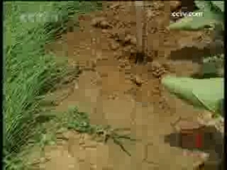 见证 七里营的故事 三