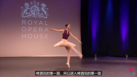 芭蕾形体舞蹈 专业芭蕾教学