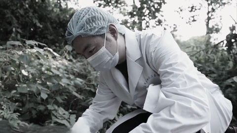 传奇故事 假死“迷局
