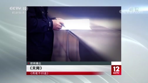 天网 《天网》 20200612 雨夜不归途