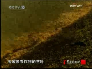 走近科学 闪电刀客